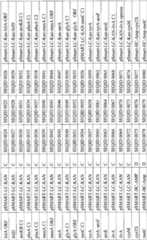 Figure BPA00001563191501901