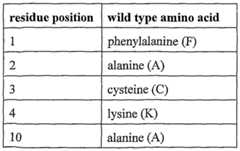 Figure imgf000032_0003