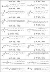 Figure BDA0002627493280000171