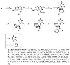 Figure JPOXMLDOC01-appb-C000056