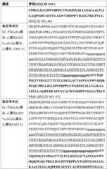 Figure BDA0002763179510000561