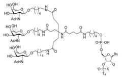 Figure 2023012548000398