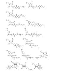 Figure 2023500681000162