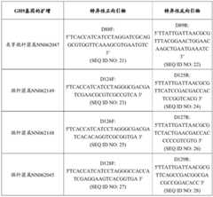 Figure BDA0002978200010001971