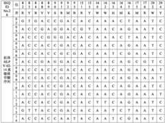 Figure BDA0003633779020000131