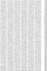 Figure IDA0002536600790000611