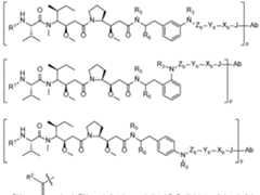 Figure imgf000033_0001