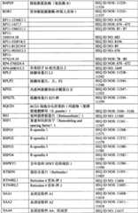 Figure BPA0000291811450003561