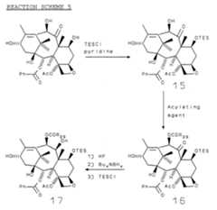 Figure imgf000028_0001