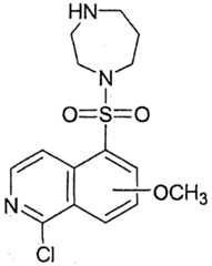 Figure imgf000005_0001