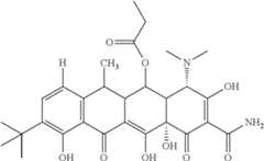Figure US08088820-20120103-C00019