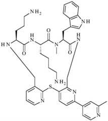 Figure BDA0001640213710005481