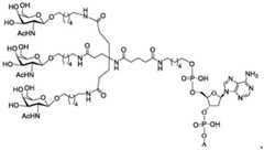 Figure BDA0003357312860001892