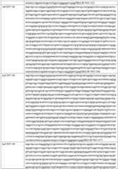 Figure GDA0002332994560000741