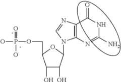 Figure US09233141-20160112-C00095