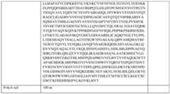 Figure imgf000080_0001