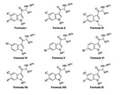 Figure imgf000008_0002