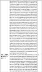 Figure BDA0002508391090001501