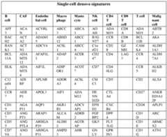 Figure imgf000176_0002