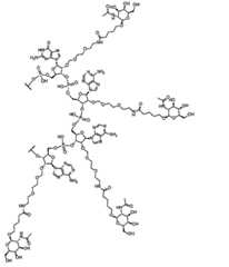 Figure 2023509872000038