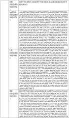 Figure BDA0004033970230004901