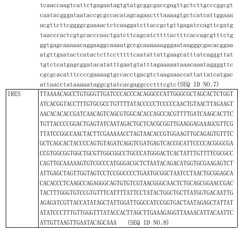 Figure 10000237496036