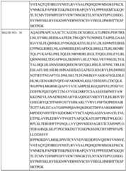 Figure BDA0002742983620000391