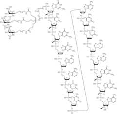 Figure US12018261-20240625-C00022