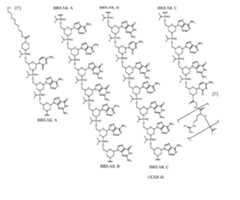 Figure imgf000111_0001