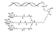 Figure 105140410-A0305-02-0033-7