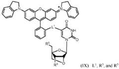 Figure imgf000073_0001