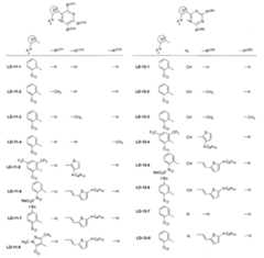 Figure JPOXMLDOC01-appb-C000044
