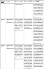 Figure BDA0004089703340001041