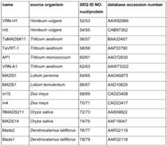 Figure imgf000162_0001