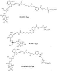 Figure imgf000071_0001