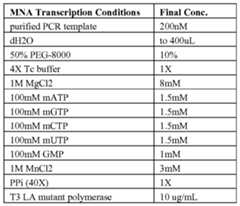Figure imgf000027_0001
