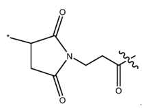 Figure imgf000006_0001