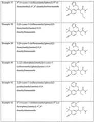Figure imgf000013_0001