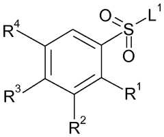 Figure imgf000010_0002