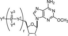 Figure AU2019202835A1_D0199