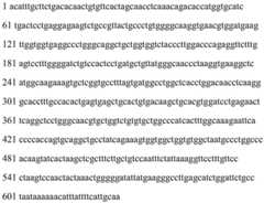 Figure BDA0002465283840000451