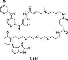 Figure BPA00001476434901691