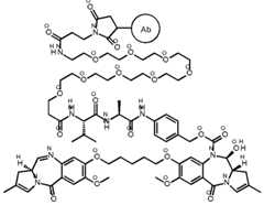 Figure imgf000017_0001