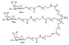 Figure 2023012548000089