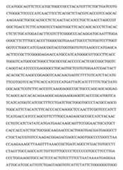 Figure 109103078-A0101-12-0119-92