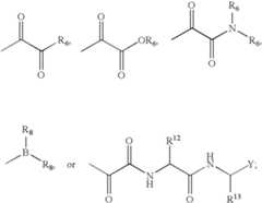 Figure US07378422-20080527-C00006