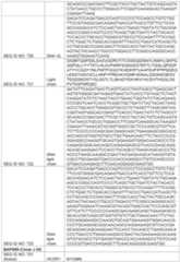 Figure imgf000292_0001