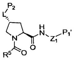Figure imgf000006_0001