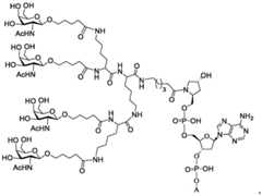 Figure BDA0003357312860001901
