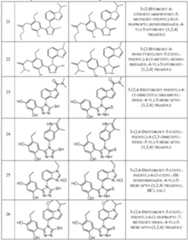 Figure imgf000033_0001